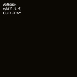 #0B0804 - Cod Gray Color Image